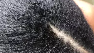 It me very well and comes inside me I like to suck it