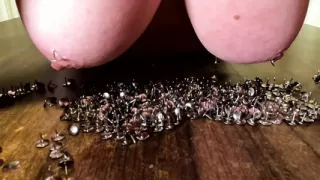 Putting breasts in thumbtacks