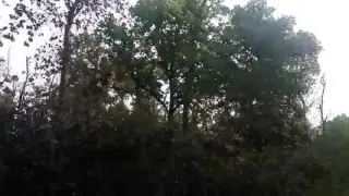 Real Housewife Milk Pushing Video