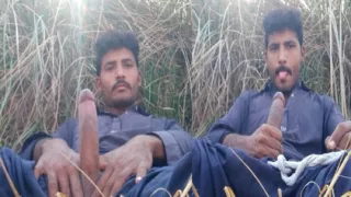 Gulzaminkhan77 big cock bbc