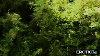 She licks her juices off his cock like a slut