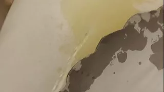 "Cum & Piss German public - she didn't really do that, did she?"