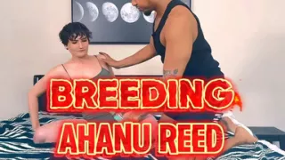Breeding in Process with Ahanu Reed