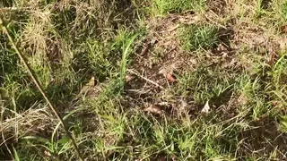 All invited I masturbate very nice on the grass