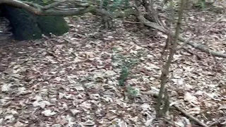 Married curious man gets fucked hard bareback in the cruise area.