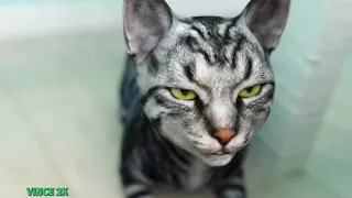 Welcome to Free Will - #42 - Car Blowjob by Redlady2k