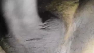 Yellow Mode Masturbation crazy Cum young