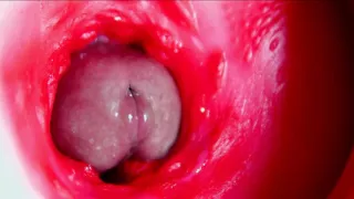 Juicy beautiful pussy squelches inside ASMR close-up inside the anus