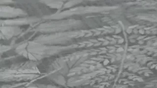 Stepmom get changed in new dress in front of stepson dick