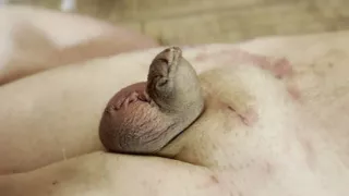 Stapling the cock and balls - ZEIDA and LUCIFERIA sadistic CBT