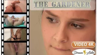 The gardener 4k