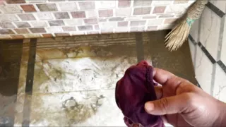 Today the land shook with the panty