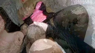 Daddy likes to keep us in the closet.