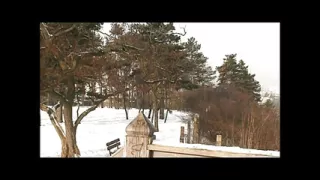 Una Famiglia di Troie Vol.2 - Episode 3