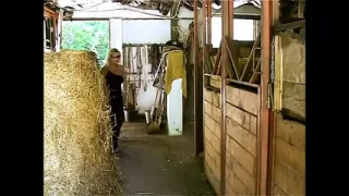 Voglia di Nuovi Maschi