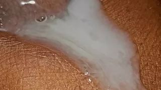 Blackpipe pumping cum.