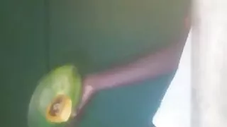 Having Sex with My Sex Toys