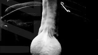 B&w Cock Play W Cumshot