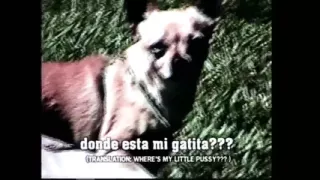 Wonderful Young Black Girl Enjoys Monster Black Cock That Cums on Her Mouth