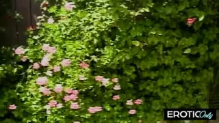 Ass up, face down, screaming for daddy