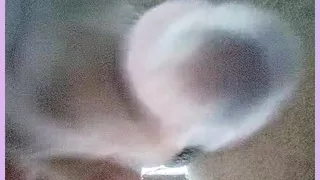 Hit the hilt, hit the hilt, don't kiss