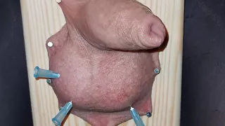 Cock and ball torture