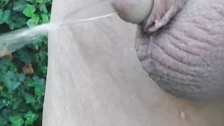 PeeWee in the morning