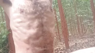 Jerking Off In The Woods