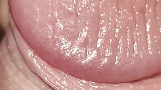 Close up Dick Amauri