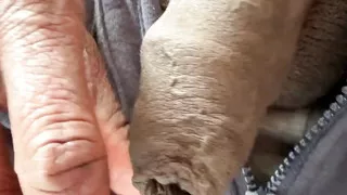 Foreskin Close up and Wank Under Table 1