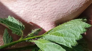 Stinging nettles, such a delicious feeling
