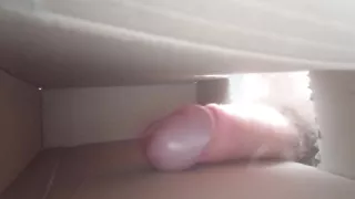 Dick in box