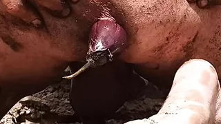 I put an eggplant in my ass