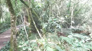 We Have Sex in the Garden of Eden and Nearly Got Caught