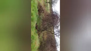 Just a Litte Bit Piss Cum Mix Enjoy