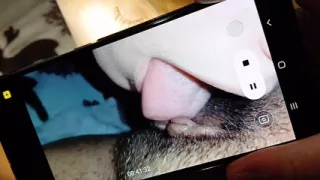 Three Dorm Roommates Have Nasty Fucking