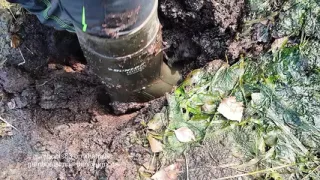 employees of this peat factory walk the path every day