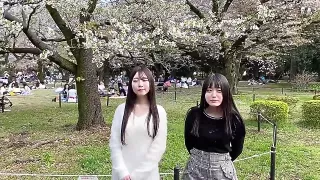 Sex zu dritt mit zwei Asiagirls