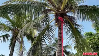 Very hot my art teacher