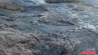 She asks me to fuck her big pussy