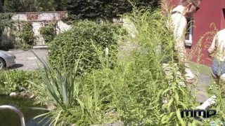 Summer Holiday Group Fuck