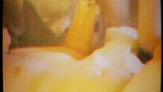 3 certainly isn't a crowd!