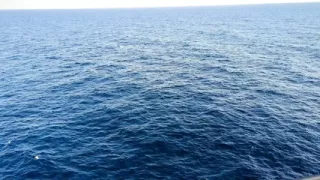 Hot Wife Cums in Front of Locked Cuck on Cruise Ship