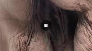 Naughty Maid in the Wood up Close Pisses the Most