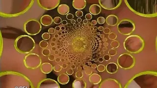 Horny brunette girl deepthroats and mounts