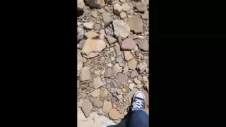 So Many Foot Clips Piled Into One