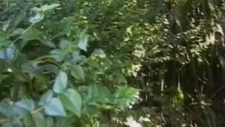 Men in uniform 2 -DVD-