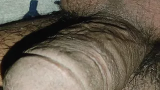 Desperate to leave desi bulla