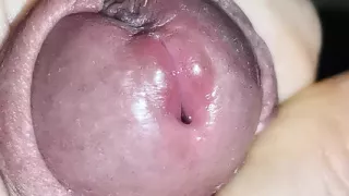 I got lost in the Amazon jungle