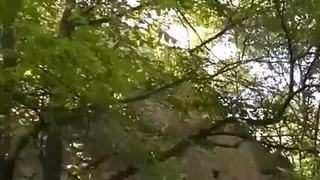 Outdoor pissing chicks - DVD